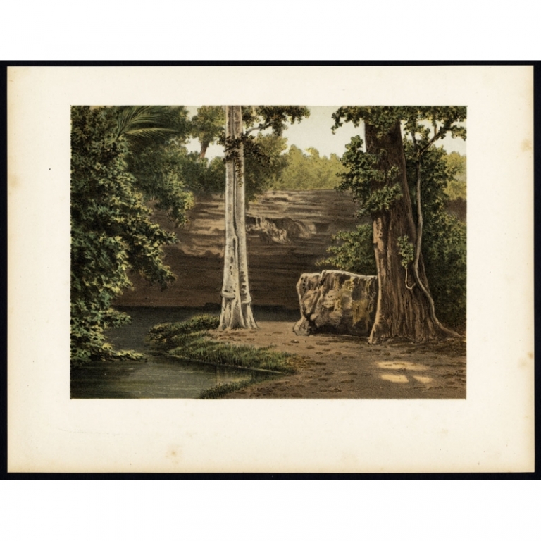 Antique Print of the Djati Forest by Perelaer (1888)