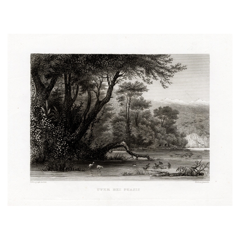 Antique Print of the Rion river by Meyer (c.1840)