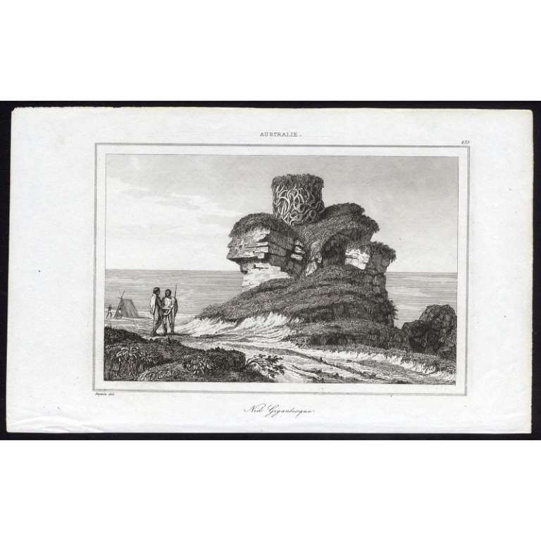 Antique Print of a garguantuan animal nest near the coast of Australia by Rienzi (1836)