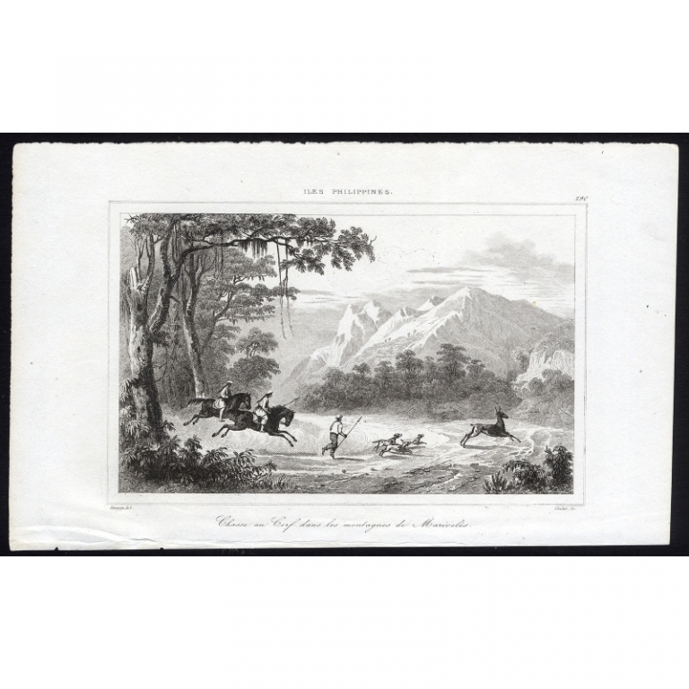 Antique Print of Deer hunting by Rienzi (1836)