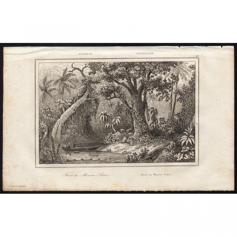 Antique Print of the forest in Munin Sima by Rienzi (1836