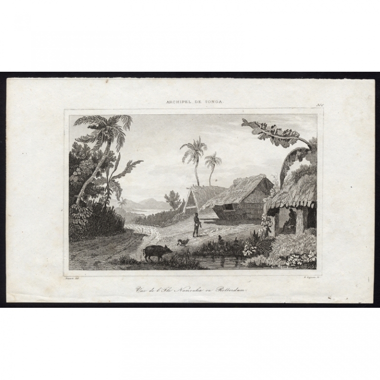 Antique Print of Namuka Island by Rienzi (1836)