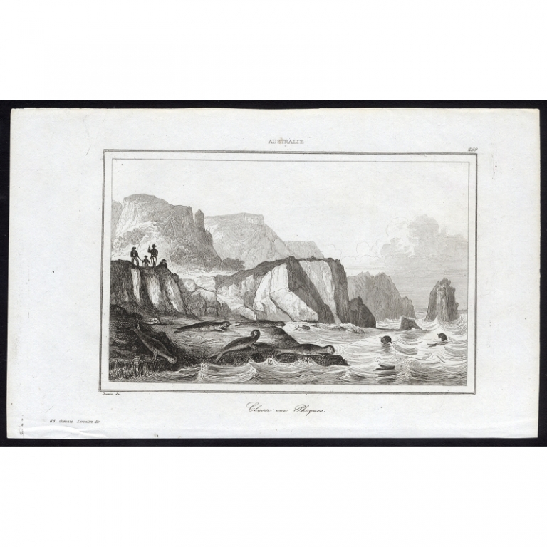 Antique Print of Seal hunting by Rienzi (1836)