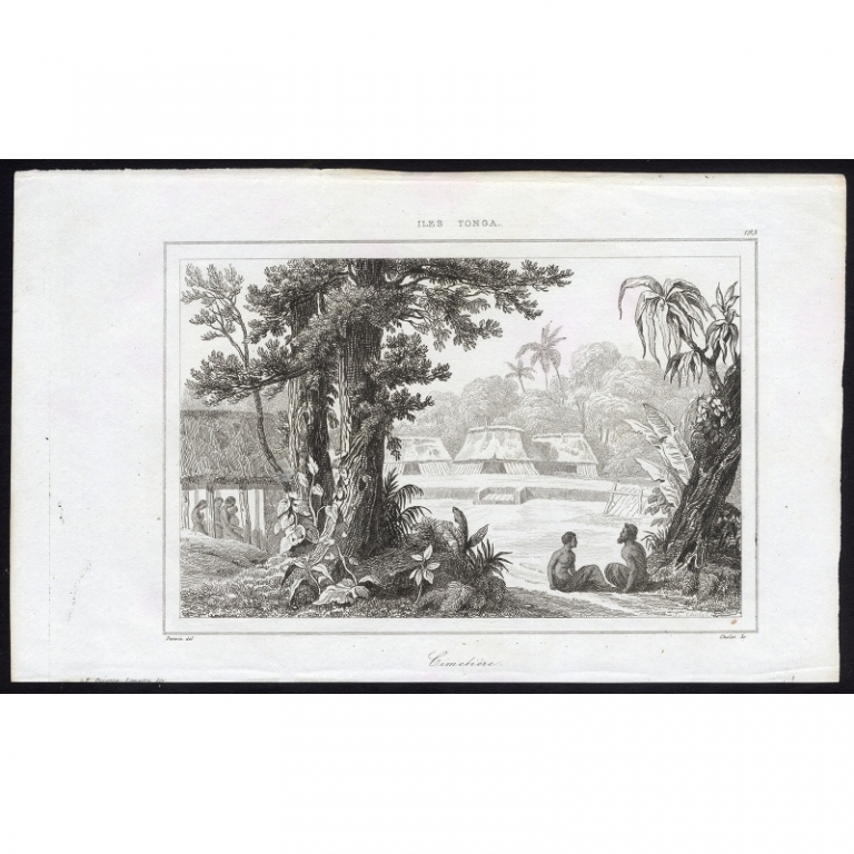 Antique Print of a cemetery on Tonga by Rienzi (1836)