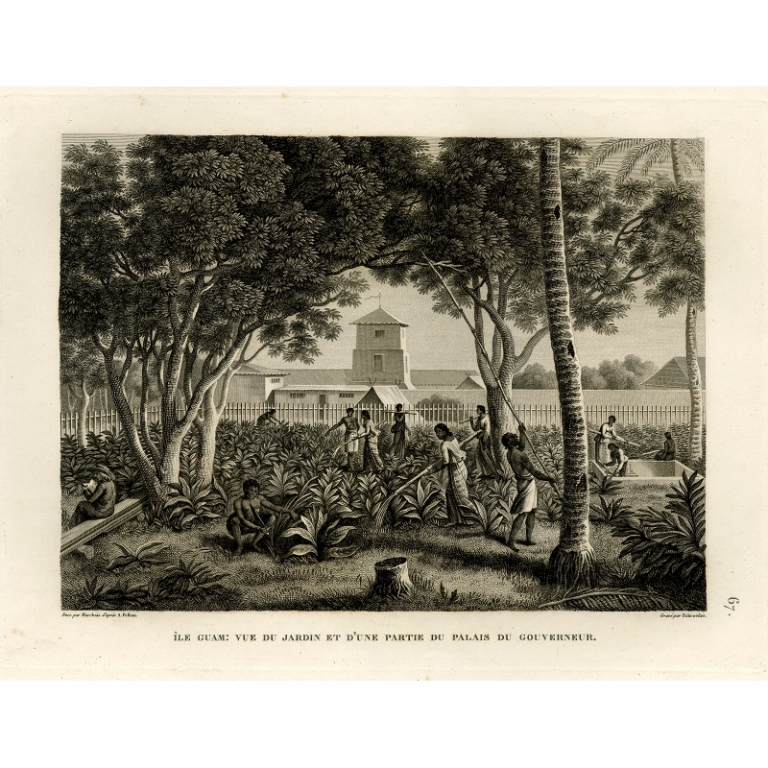 Ile Guam: Vue du Jardin et d'une Partie du Palais du Gouverneur - Schroeder (1825)