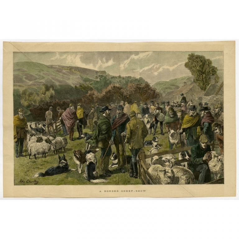 Antique Print of a Sheep Show (c.1870)