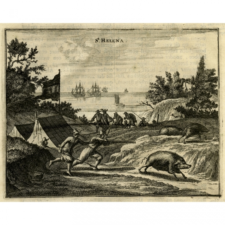 Antique Print of Boar Hunting on St. Helena by Montanus (1669)
