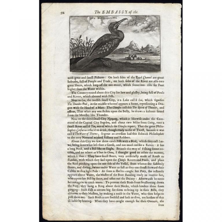 Antique Print of a Cormorant by Nieuhof (1673)