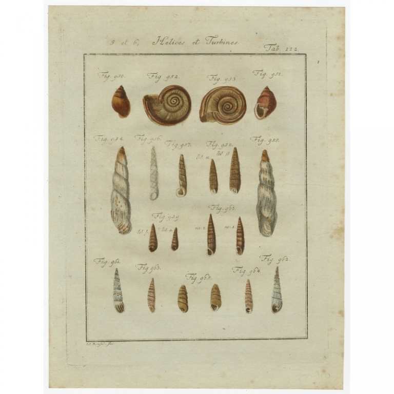 Tab. 112. Antique Print of Helix and Turbine Shells by Chemnitz (1786)