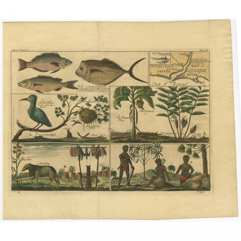 Antique Print of Animals and People from the region of the Sestro River by Kip (1744)
