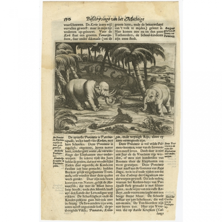 Antique Print of Elephants by Baldaeus (1672)