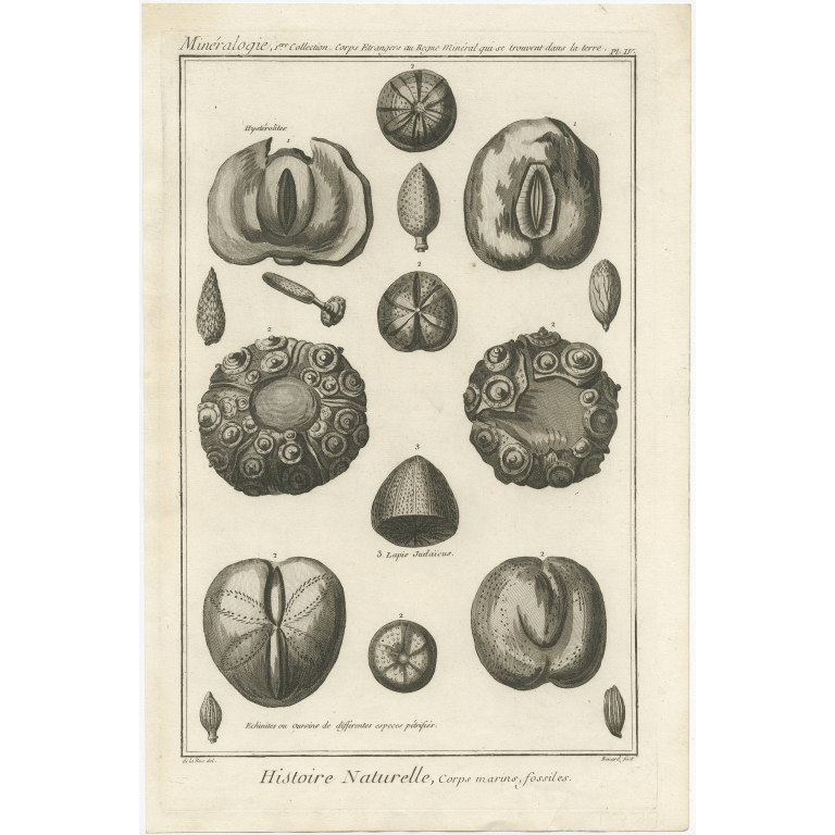 Mineralogie - Histoire Naturelle, Corps Marins, fossiles - Diderot (1751)