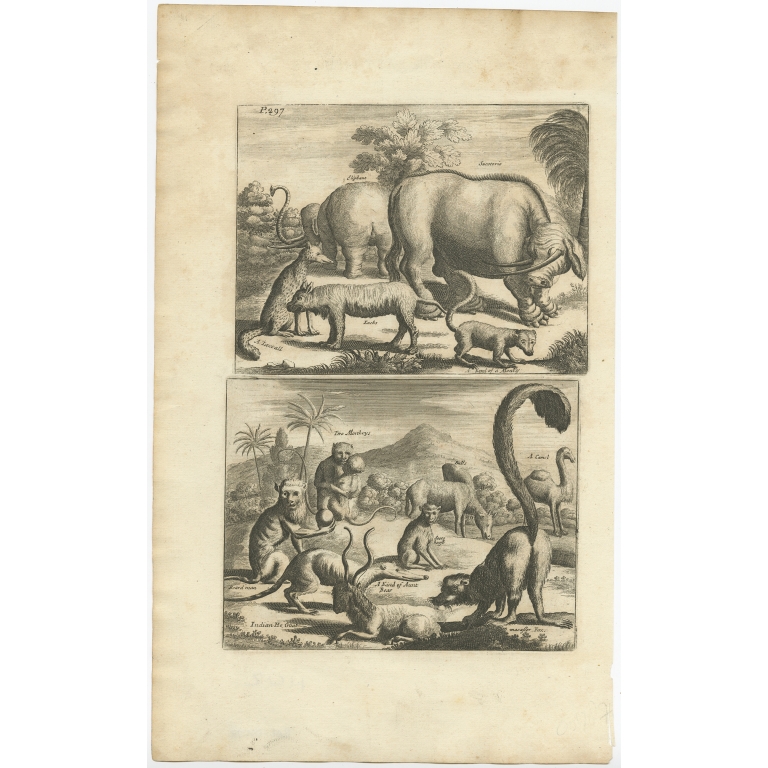 Untitled Print of various Animals - Anonymous (c.1750)