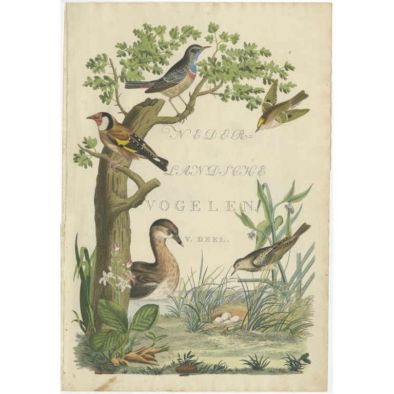 Nederlandsche Vogelen - Sepp & Nozeman (1829)