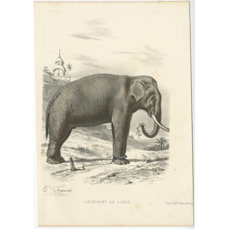 L'Éléphant de l'Inde - Travies (c.1860)