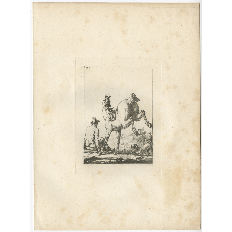 Pl. 84 Horse Etching - Swébach (c.1820)