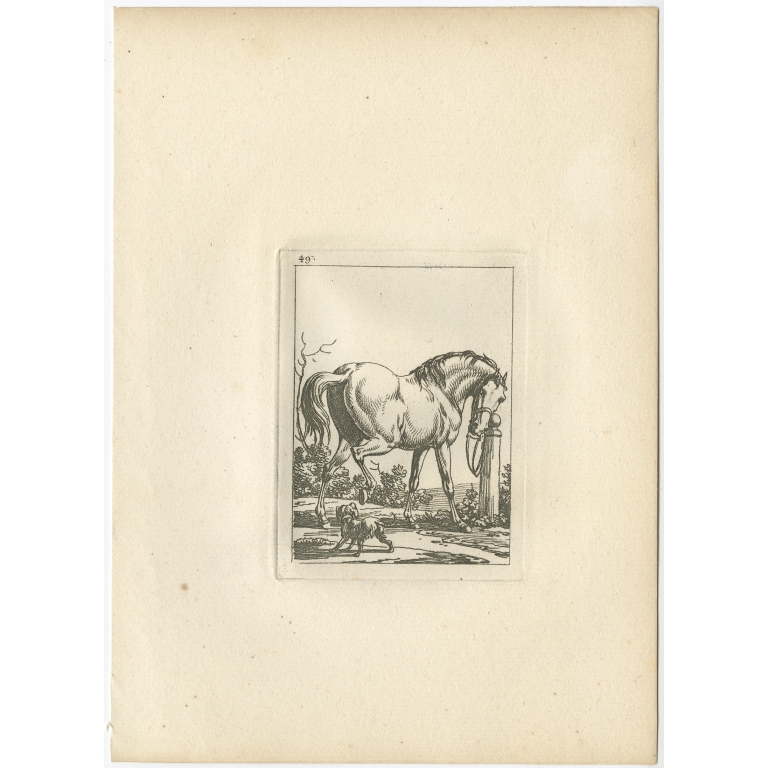 Pl. 49 Horse Etching - Swébach (c.1820)