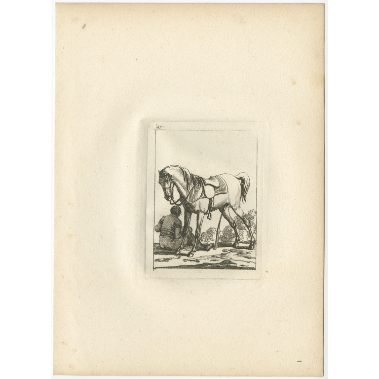 Pl. 47 Horse Etching - Swébach (c.1820)