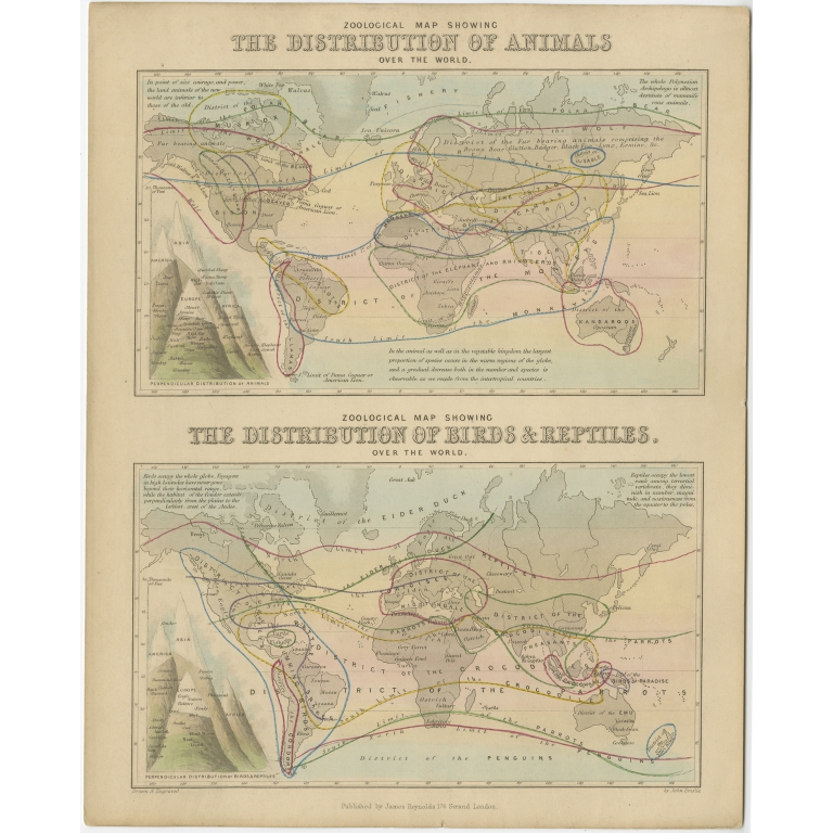Zoological Map - Reynolds (1843)