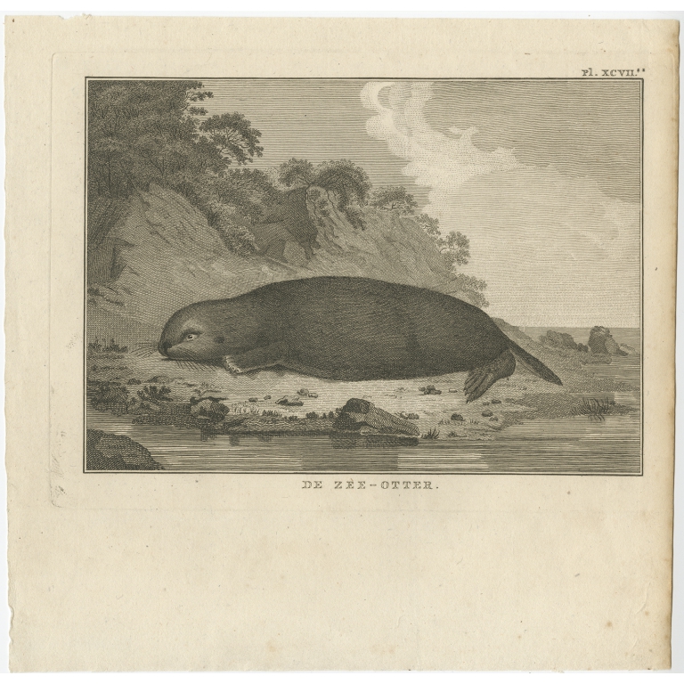 De Zee-Otter - Cook (1803)