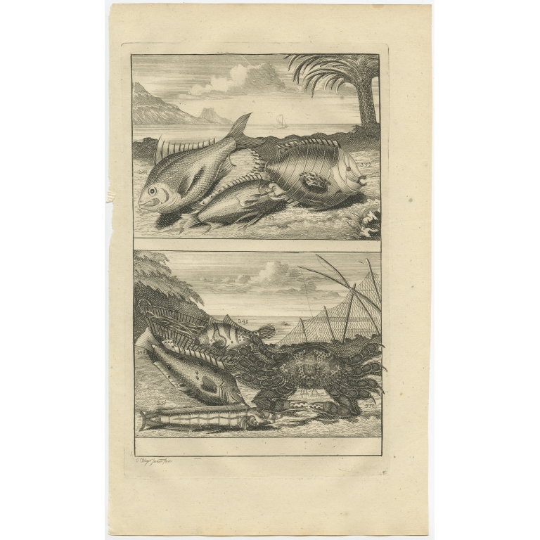 No. 348 Fish and Crab Species - Valentijn (1726)