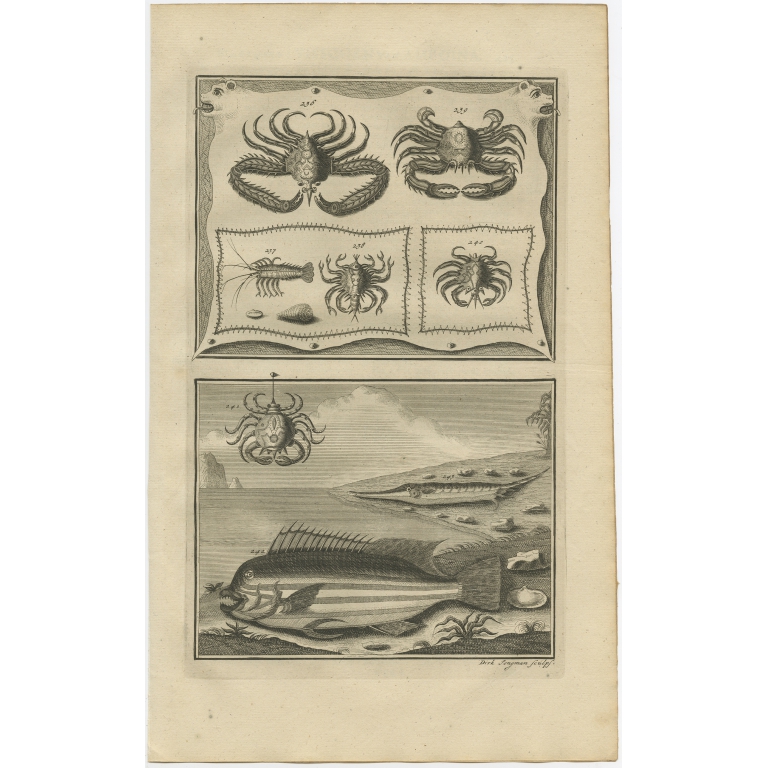 No. 492 Fish and Crab Species - Valentijn (1726)