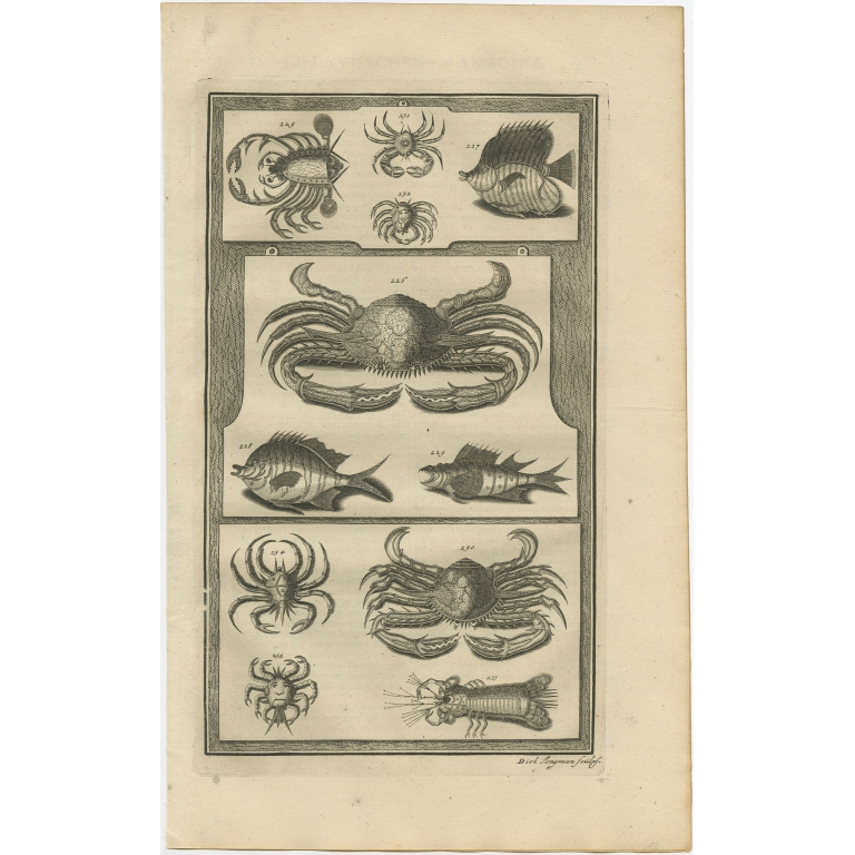 No. 225 Fish and Crab Species - Valentijn (1726)