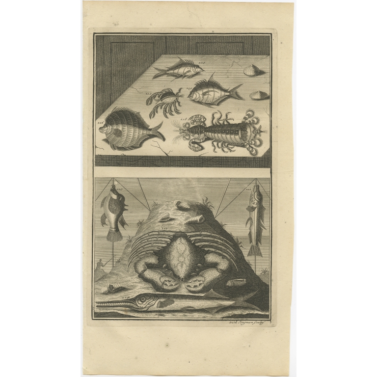 No. 216 Fish and Crab Species - Valentijn (1726)