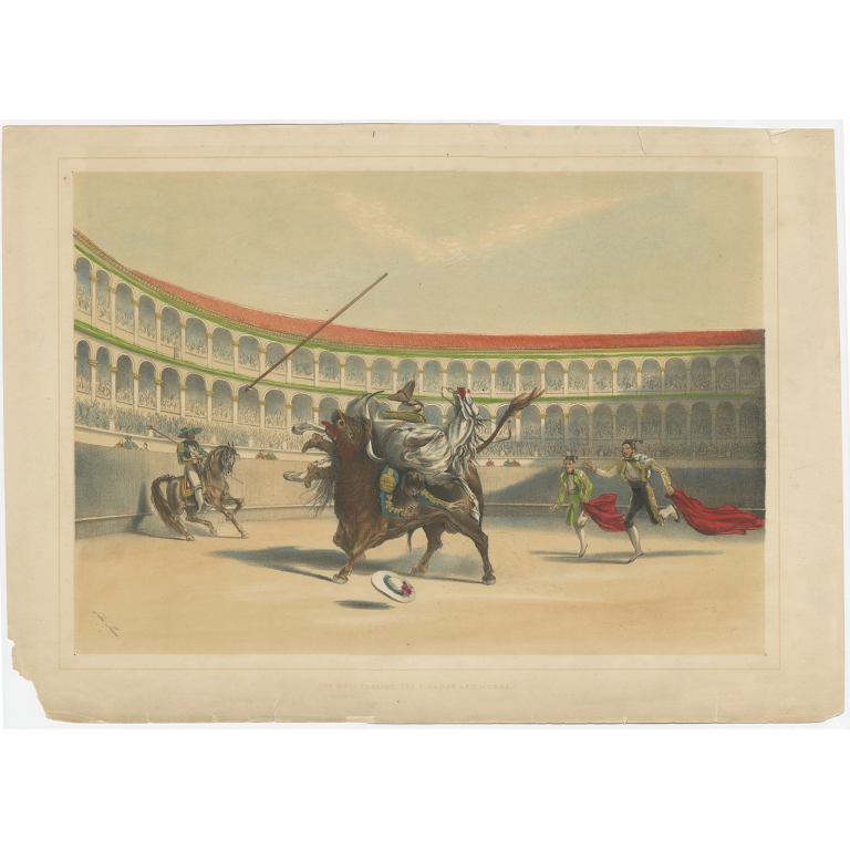 Antique Print of a Bull tossing the Picador and Horse made after Lake (c.1852)