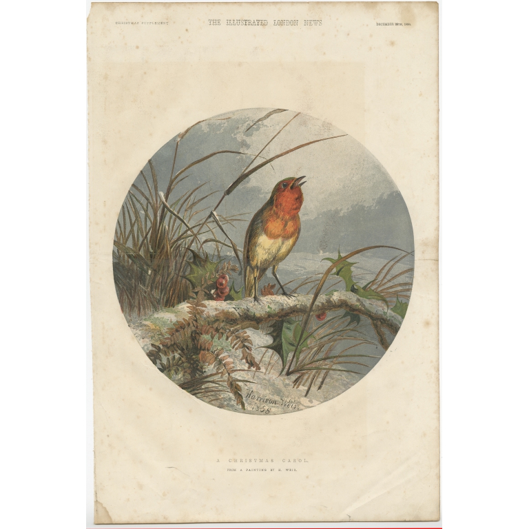 Antique Bird Print of a Robin in Winter made after H. Weir (1858)