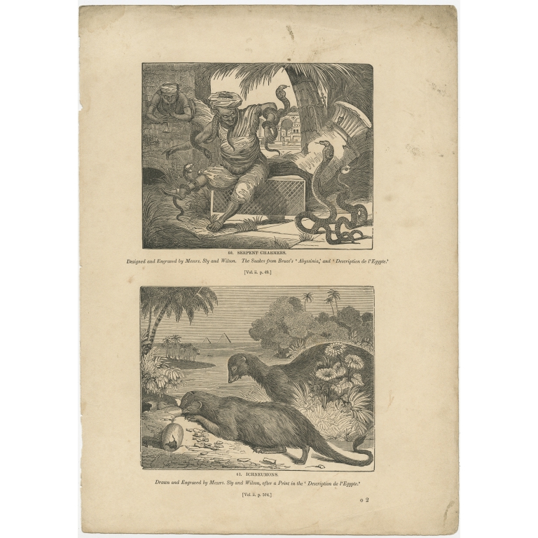 Antique Print of Snake Charmers and the Egyptian Mongoose by Knight (1835)