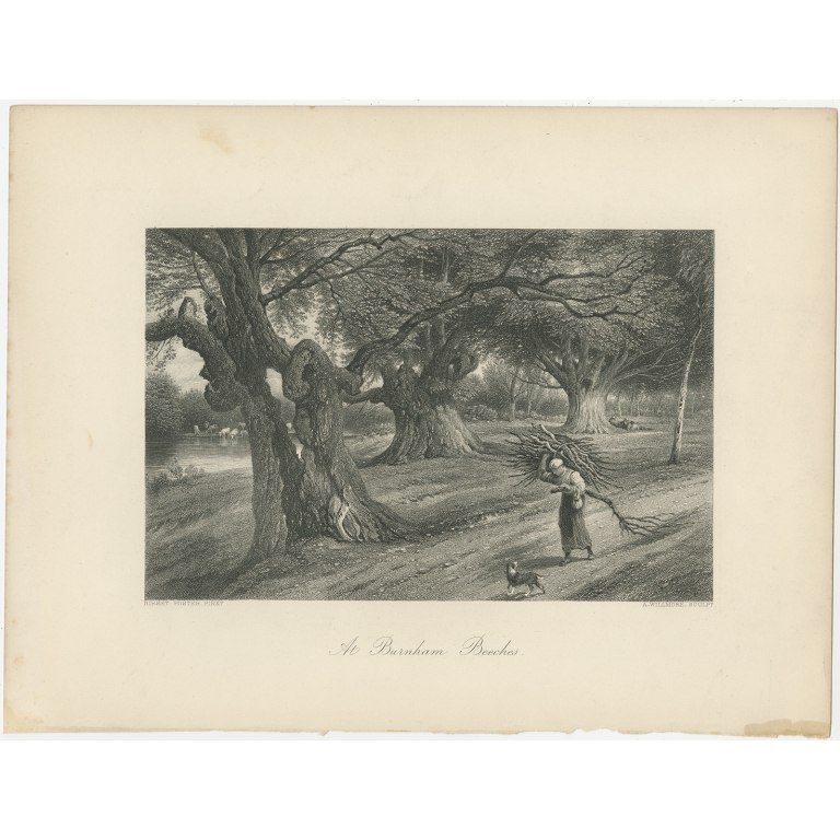 Antique Print of Burnham Beeches (c.1875)