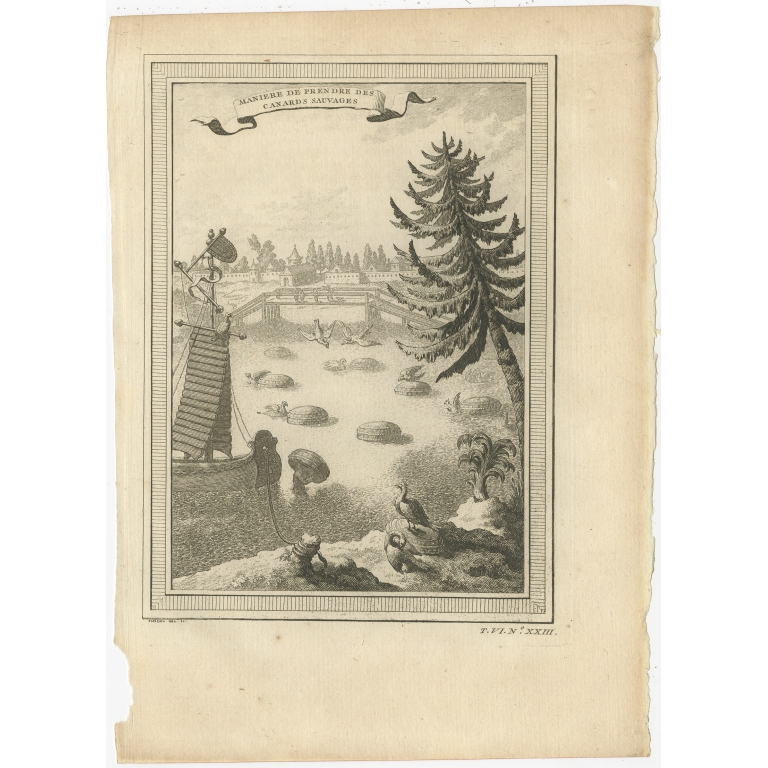 Antique Print of Catching Wild Ducks by Chedel (1748)
