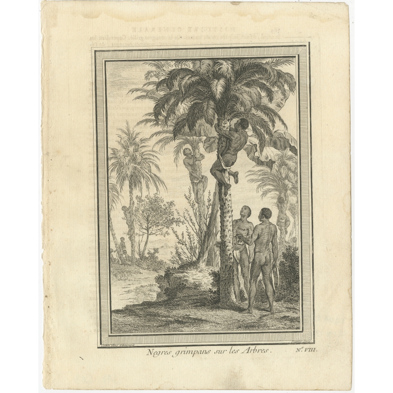 Antique Print of Inhabitants climbing Trees by Prévost (1746)