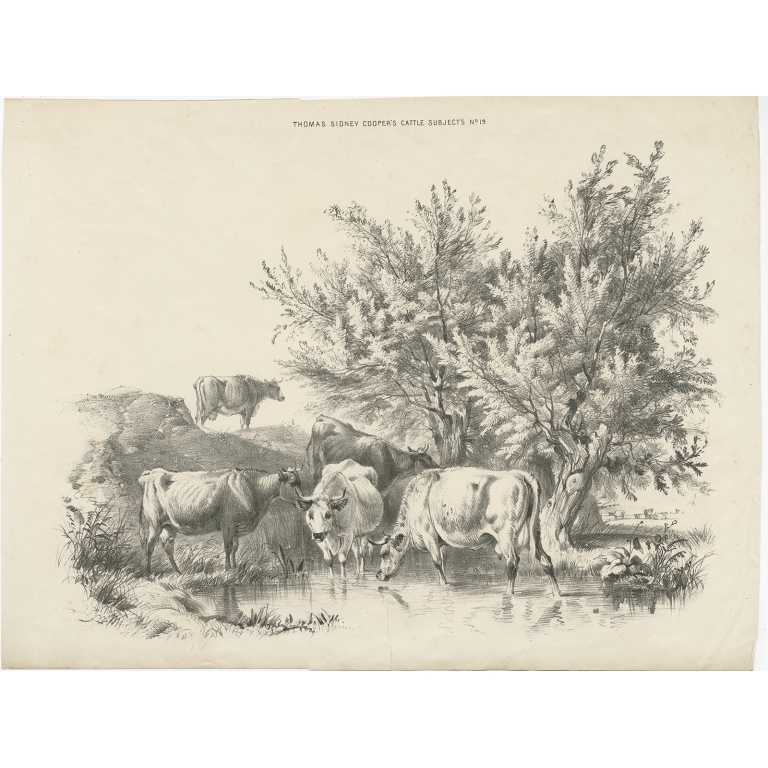 No. 19 Antique Print of Cattle by Cooper (1839)