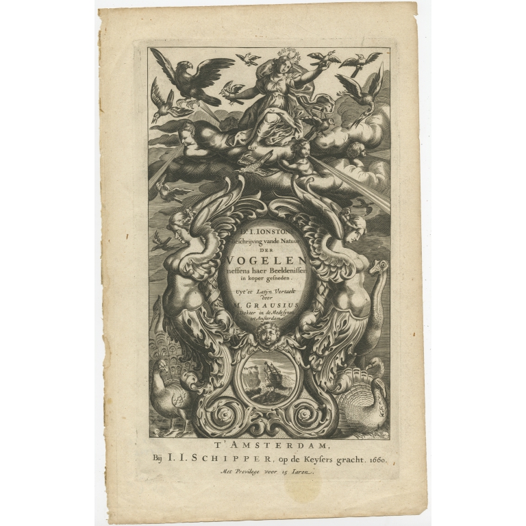Antique Frontispiece of Birds and Putti by Merian (1660)