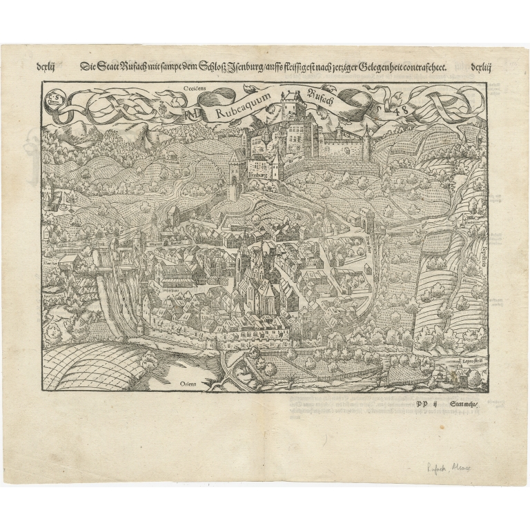 Antique Map of the city of Rouffach by Münster (1588)