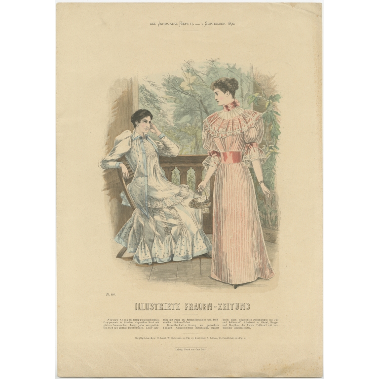 Pl. 955 Antique Fashion Print by Dürr (1892)