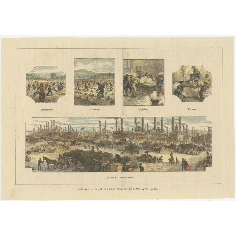 Antique Print of the Cotton Cultivation and Trade in America (c.1900)