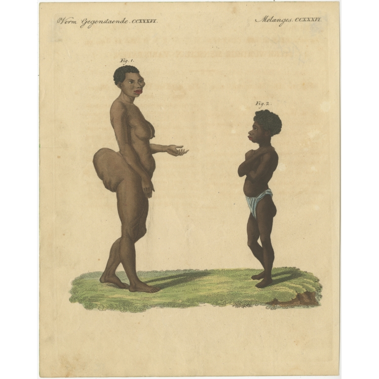 Antique Print of Sarah Baartman and a Boy by Bertuch (1816)